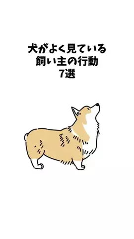 わんことの素敵な日常のTikTok投稿