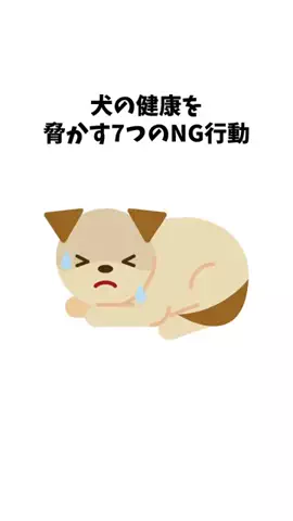 わんことの素敵な日常のTikTok投稿