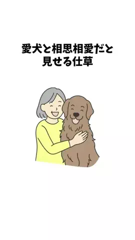 わんことの素敵な日常のTikTok投稿