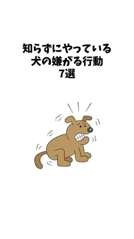わんことの素敵な日常のTikTok投稿