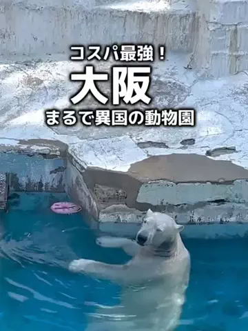 user55863167506のTikTok投稿