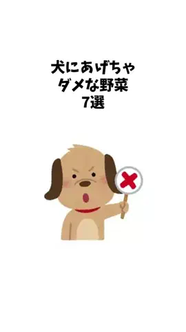 わんことの素敵な日常のTikTok投稿