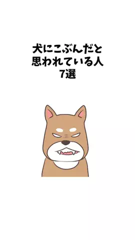 わんことの素敵な日常のTikTok投稿