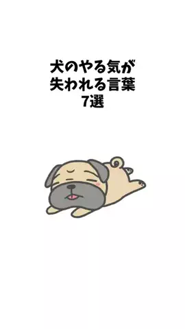 わんことの素敵な日常のTikTok投稿