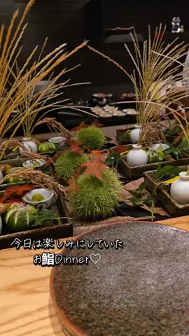 🌱Yuno🌱のTikTok投稿