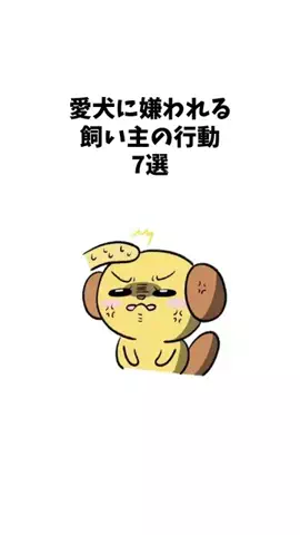 わんことの素敵な日常のTikTok投稿