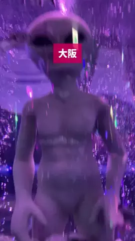 ぼぶ｜関西おでかけ＆ホテル案内係のTikTok投稿