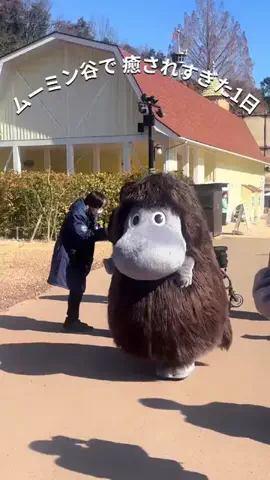 にゃんさん🍽️のTikTok投稿