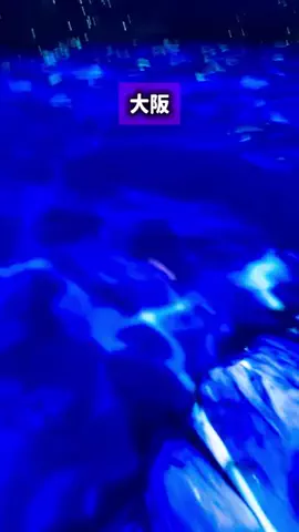 ぼぶ｜関西おでかけ＆ホテル案内係のTikTok投稿