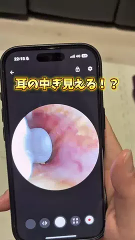 しーぱぱ|北陸・週末子連れお出かけのTikTok投稿