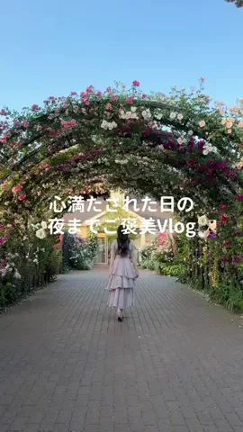 ゆいのTikTok投稿