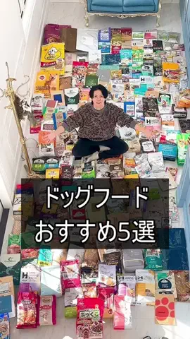 スターシードッグフード調査隊🐶のTikTok投稿