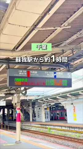 chii_odekakeのTikTok投稿