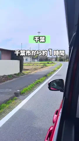 chii_odekakeのTikTok投稿