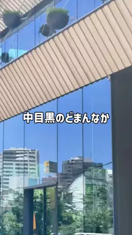【やばいよ】お得ホテル発見室🔎バスままのTikTok投稿