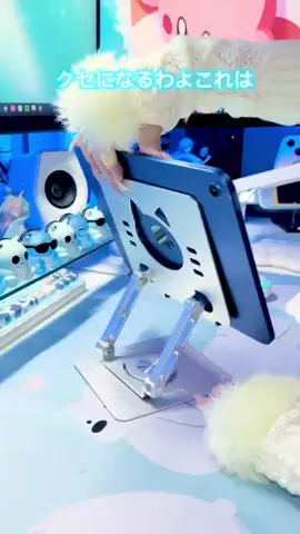 まーぽこのTikTok投稿