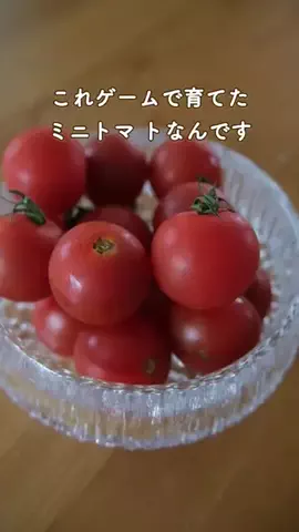 みゆきのTikTok投稿