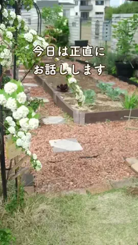 みゆきのTikTok投稿