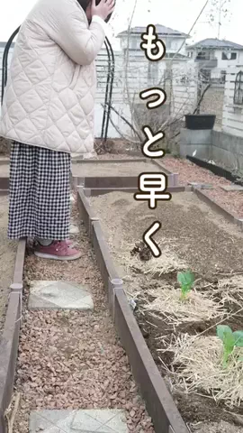 みゆきのTikTok投稿