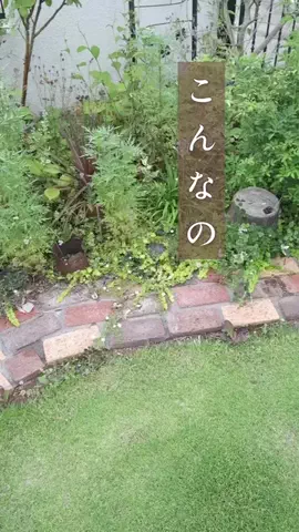 みゆきのTikTok投稿