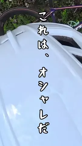 ぶっきーのTikTok投稿
