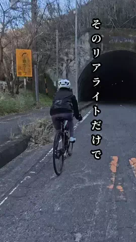 ぶっきーのTikTok投稿