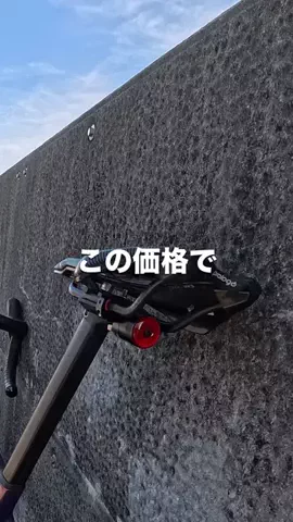 ぶっきーのTikTok投稿