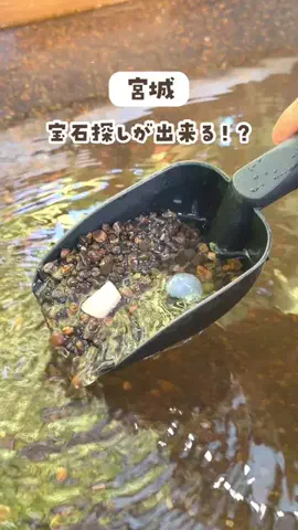 sendai.mamagramのTikTok投稿