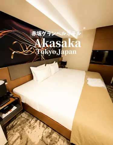 日本グルメのTikTok投稿