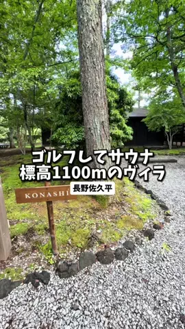 日本グルメのTikTok投稿