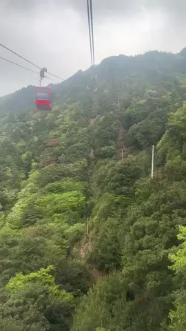 kankanのTikTok投稿