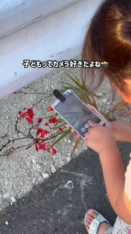 るりのTikTok投稿