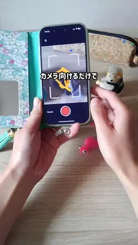 るりのTikTok投稿