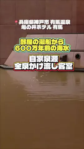 KAKIのTikTok投稿