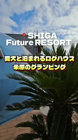 KAKIのTikTok投稿
