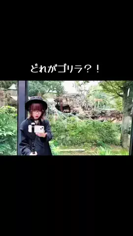 MIYU先生🎸メタル女子🐼のTikTok投稿