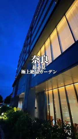 りぃ　たびグルメのTikTok投稿