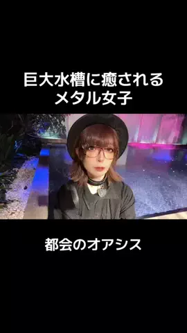 MIYU先生🎸メタル女子🐼のTikTok投稿