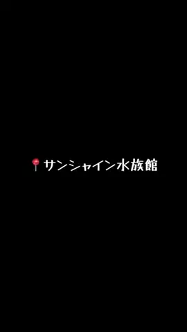 MIYU先生🎸メタル女子🐼のTikTok投稿