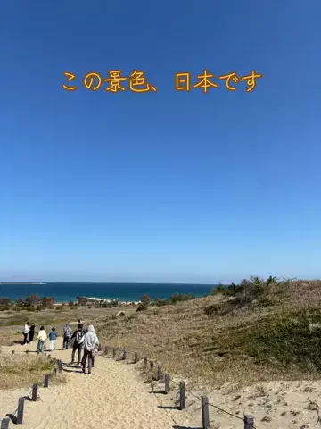 おとけしきのTikTok投稿