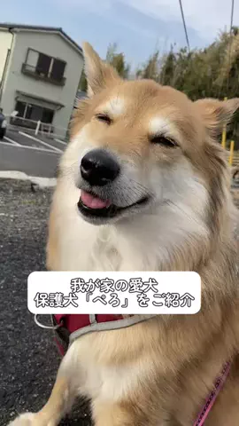 中尾彩乃のTikTok投稿
