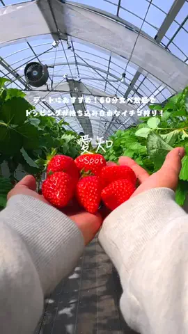 Maru【全国旅する愛知県民】のTikTok投稿