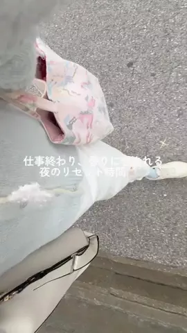 rinoのTikTok投稿