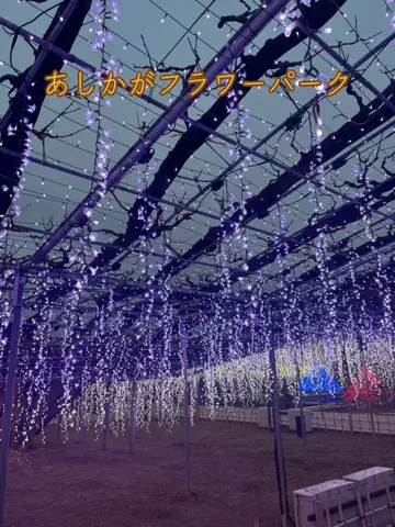おとけしきのTikTok投稿