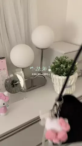 サモエドネキのお部屋のTikTok投稿