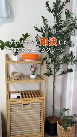あぴのTikTok投稿