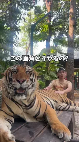 ゆうご🎤😁|旅する青年🌏のTikTok投稿