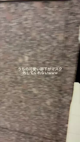 上司と部下のランチタイムのTikTok投稿