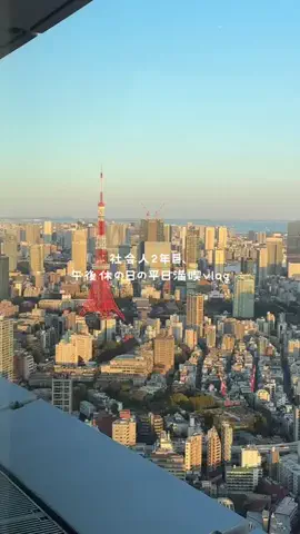ポチ子 | 暮らしと美容🌼のTikTok投稿