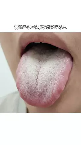 𝕄𝕠𝕖𝕜𝕒のTikTok投稿